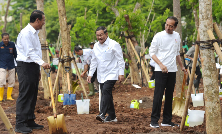 Antisipasi Perubahan Iklim, Presiden Jokowi Ajak Masyarakat Tanam Pohon