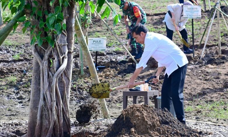 Tanam Pohon Bersama Masyarakat, Presiden: Ini Tindakan Nyata Hadapi Perubahan Iklim