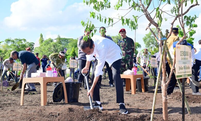 Lestarikan Tanaman Endemik NTT, Presiden Jokowi Tanam Pohon Cendana