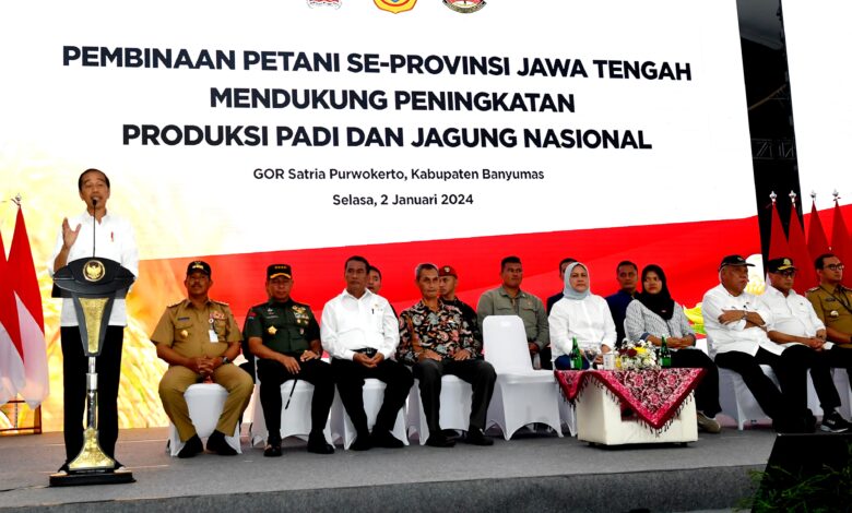 Presiden Jokowi Apresiasi Peran Petani Tingkatkan Produksi Jagung