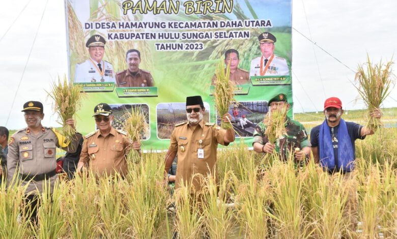 Tahun 2024, Pemprov Kalsel Kembali Lakukan Uji Coba Teknologi Padi Apung