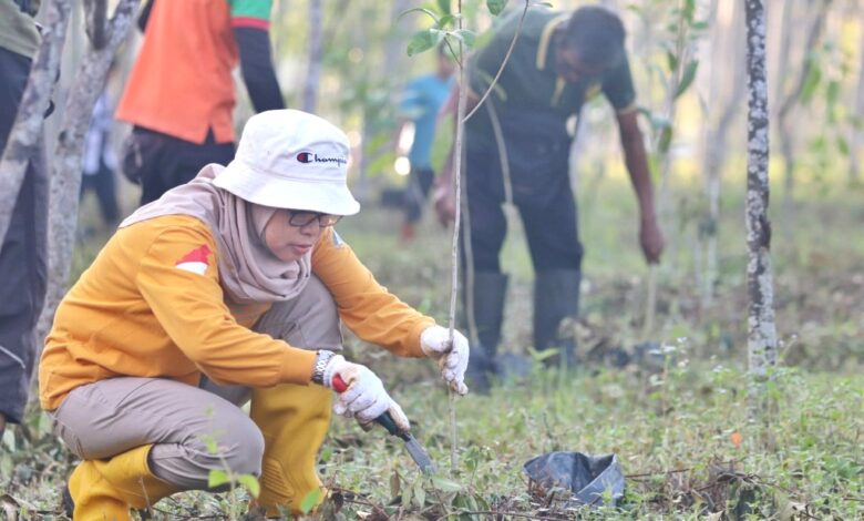 Pemprov Kalsel Berhasil Tanam 800 Bibit Mersawa Selama Dua Hari