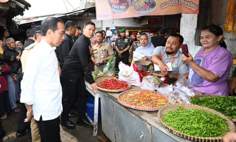 Presiden Jokowi Cek Harga Bahan Pokok di Pasar Mungkid Magelang