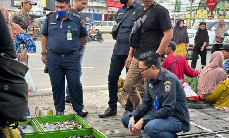 Dislautkan Kalsel Masifkan Sosialisasi Persuasif Larangan Penjualan Anakan Ikan