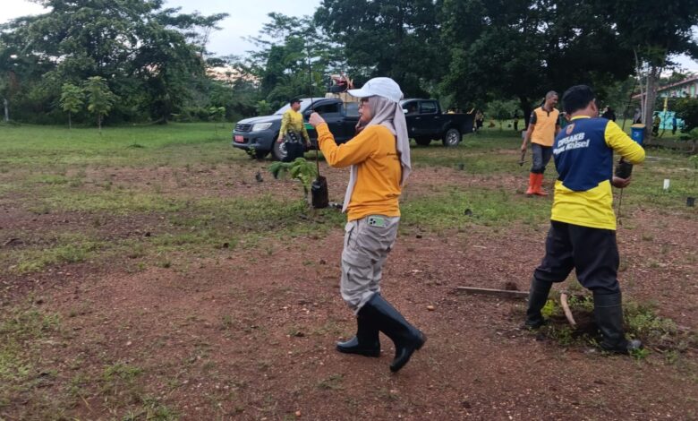 DPPPAKB dan Dishut Kalsel Lakukan Aksi Menanam Pohon