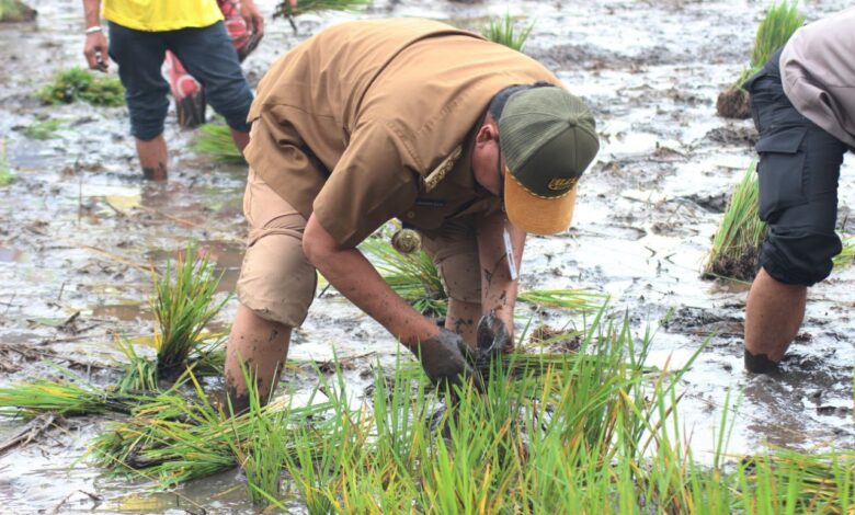 Tahun 2023, Program Gernas El Nino di Kalsel Capai 107,5 persen