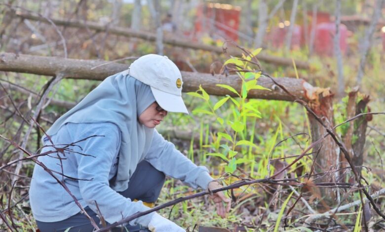 Semangat Revolusi Hijau Terus Digelorakan dengan Berhasil Menanam 1.000 Bibit Eucalyptus