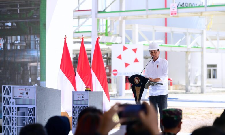 Presiden Jokowi Apresiasi Pembangunan Pabrik Amonium Nitrat untuk Mendorong Kemandirian Pangan