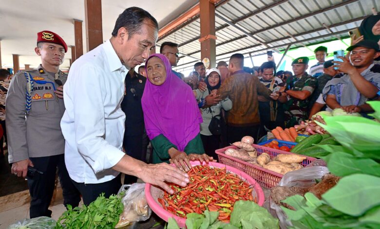 Kunjungi Pasar Sebukit Rama, Presiden Jokowi: Harga Baik dan Stabil