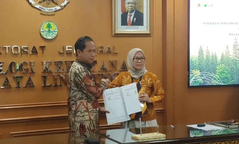 Pemprov Kalsel Lakukan Kerja Sama dalam Menyukseskan Program Indonesia FOLU Net Sink 2030