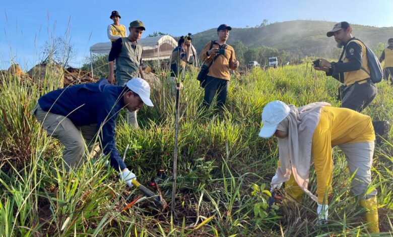 Gelorakan Revolusi Hijau Dengan Menanam 6.000 Bibit Gamal Di Gunung Pamaton