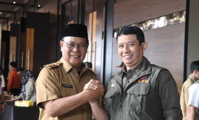 Gubernur Kalsel Paparkan Langkah Solusi Penanganan Karhutla 2024