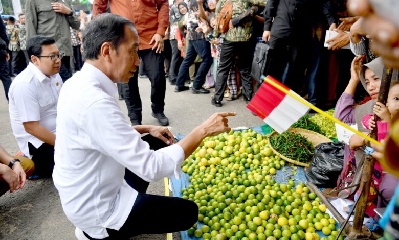 Tinjau Pasar Muara Bungo, Presiden Tekankan Pentingnya Revitalisasi Pasar