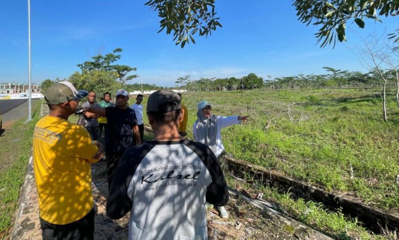 Revolusi Hijau dan Hari Kartini, Pemprov Kalsel Akan Gelorakan Perempuan Menanam