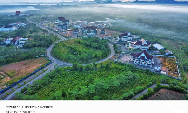 Dishut Lakukan Penyulaman Bibit Eucalyptus, Ciptakan Forest City sebagai Ikon Hijau di Pusat Pemerintahan Kalsel